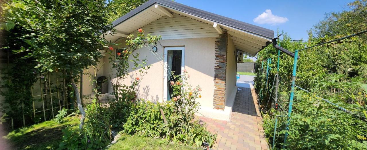 Morii Lake Pool Villa 布加勒斯特 外观 照片